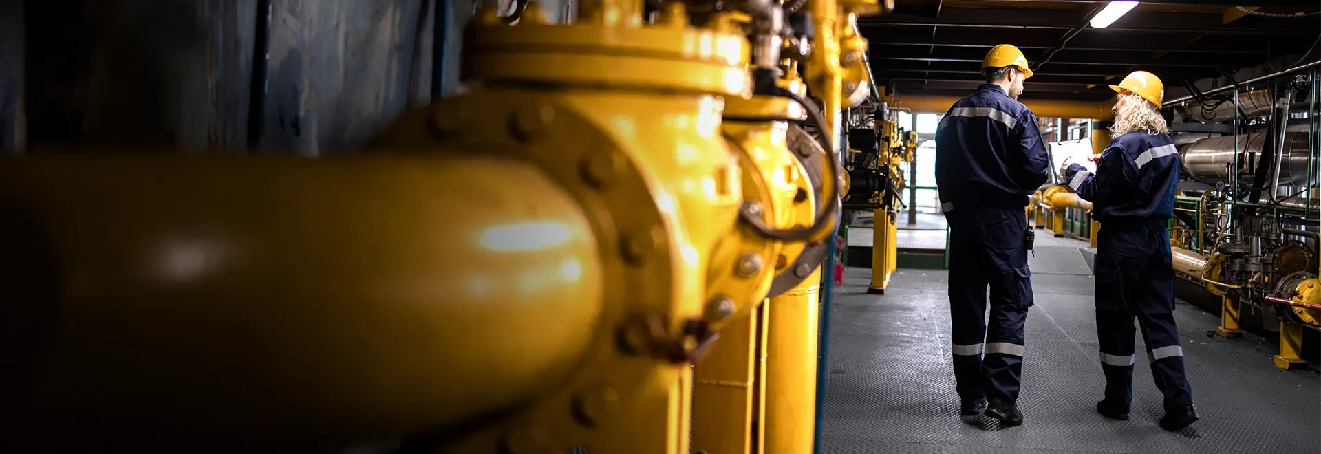 Intelligent Petroleum Systems Banner