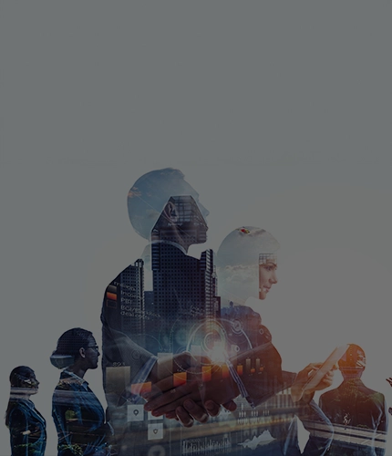 Digital Media Laws