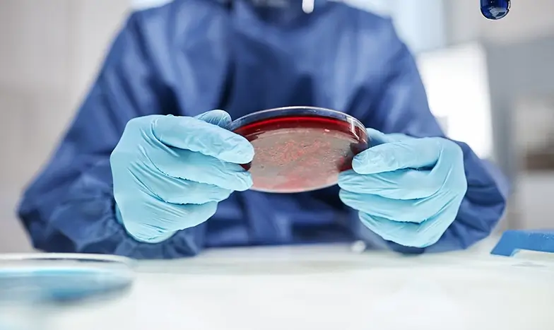 BioMaterials