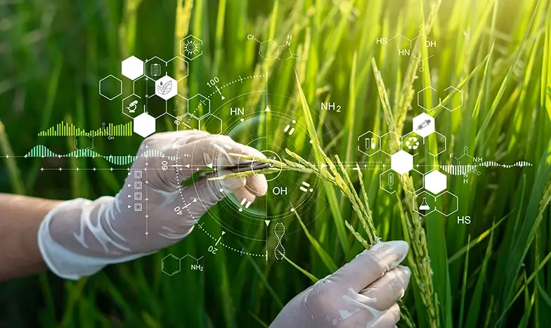 Food Biotechnology