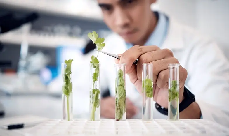 Food Plant Engineering