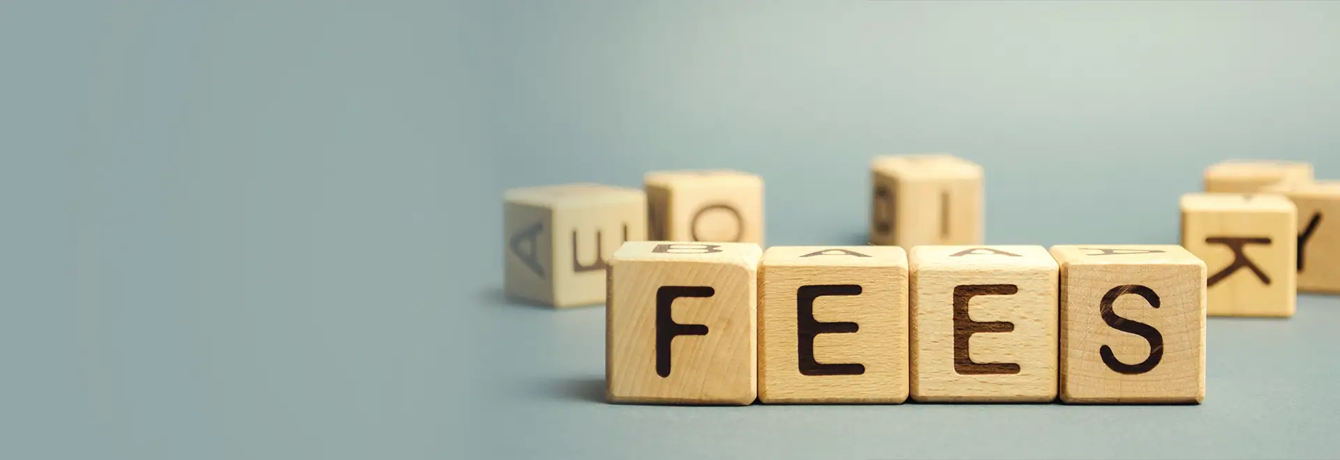 Fee Structure 