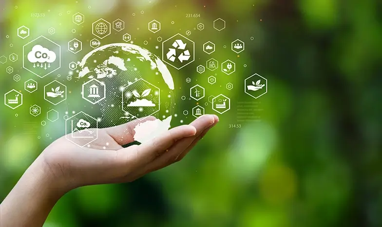 Sustainability Management